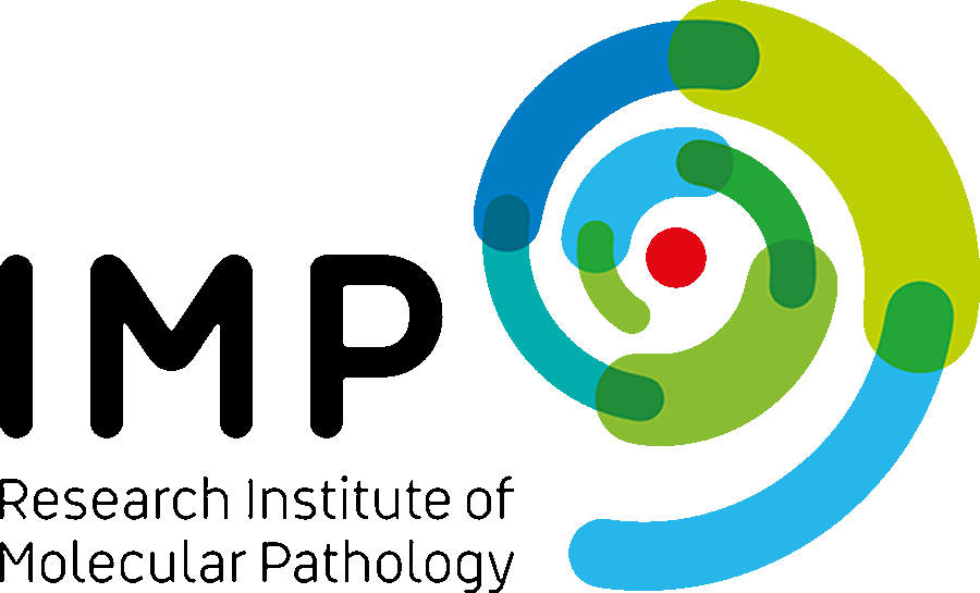 IMP logo